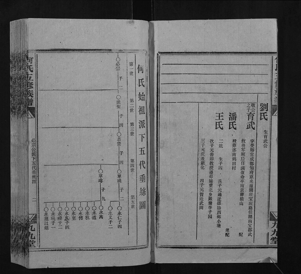 图片[6]-湖南邵阳何氏五修族谱（九九堂）电子版PDF下载-中华家谱网