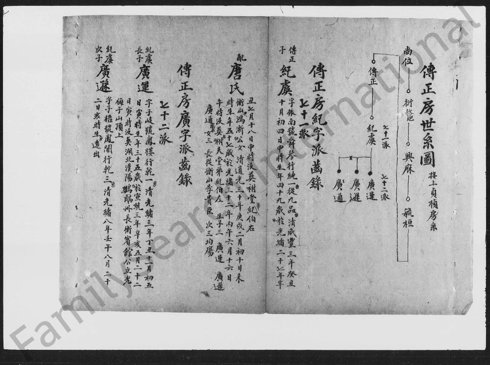图片[8]-湖南湘乡大界曾氏四房五房草谱电子版PDF下载-中华家谱网