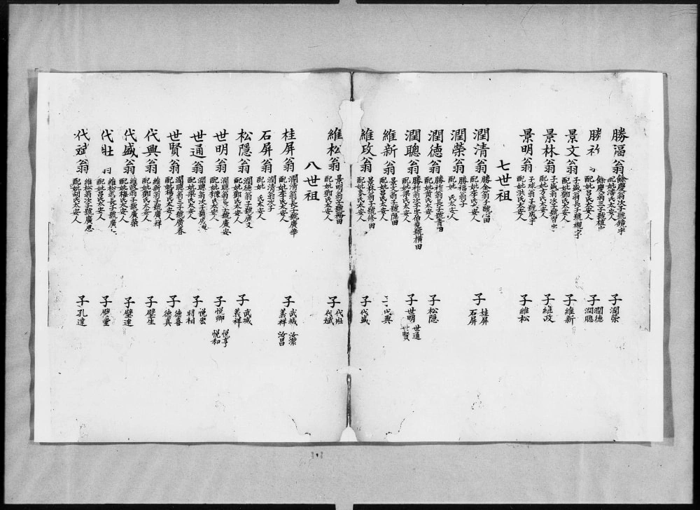 图片[4]-广东鹤山冯氏族谱电子版PDF下载-中华家谱网