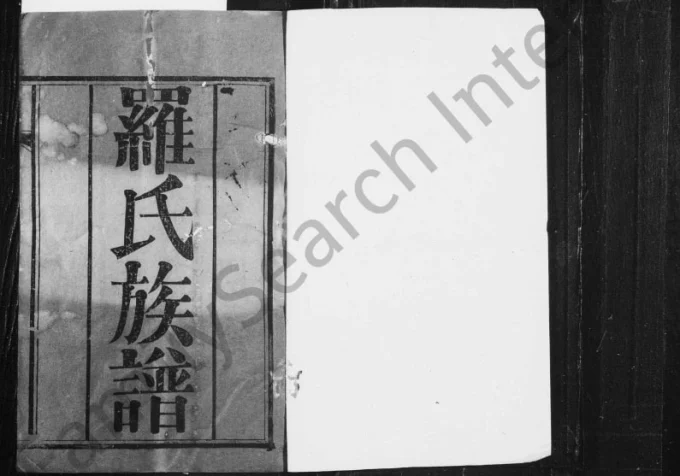 四川简阳罗氏族谱电子版PDF下载-中华家谱网