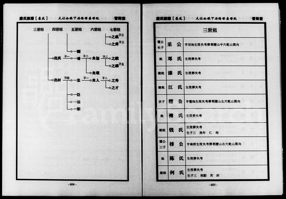 图片[5]-湖南常德津临安澧唐氏族谱（晋阳堂）电子版PDF下载-中华家谱网