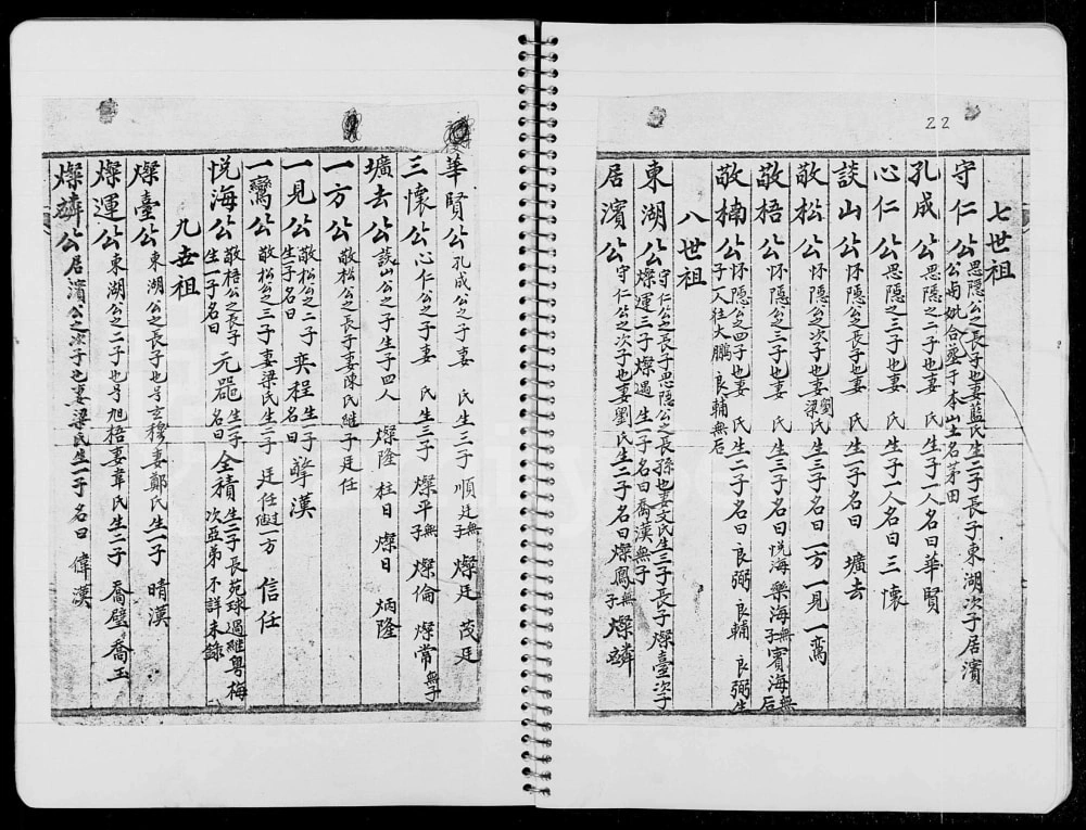 图片[6]-香港粉璧岭乡彭氏族谱电子版PDF下载-中华家谱网