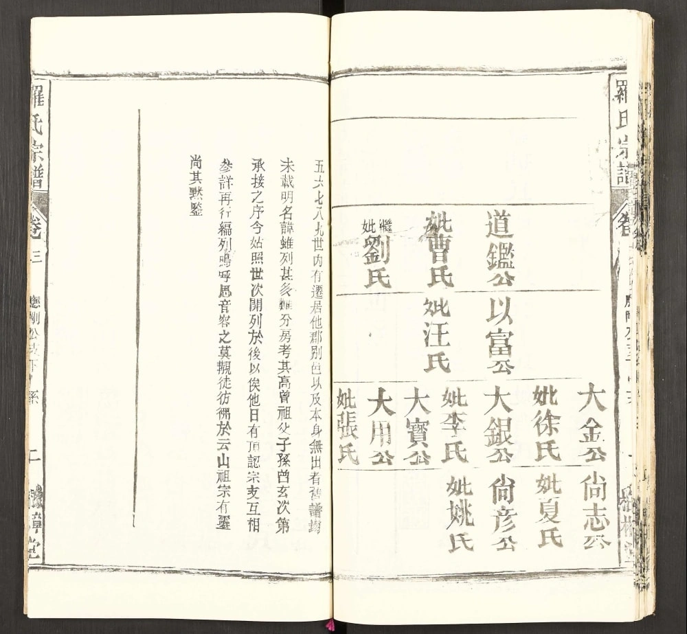 图片[7]-湖北武汉新洲区罗氏宗谱（敦本堂）电子版PDF下载-中华家谱网