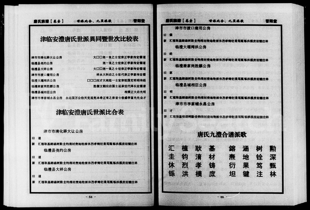图片[3]-湖南常德津临安澧唐氏族谱（晋阳堂）电子版PDF下载-中华家谱网
