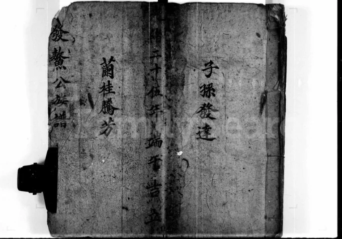 香港新界屏山石埔村林氏族谱电子版PDF下载-中华家谱网