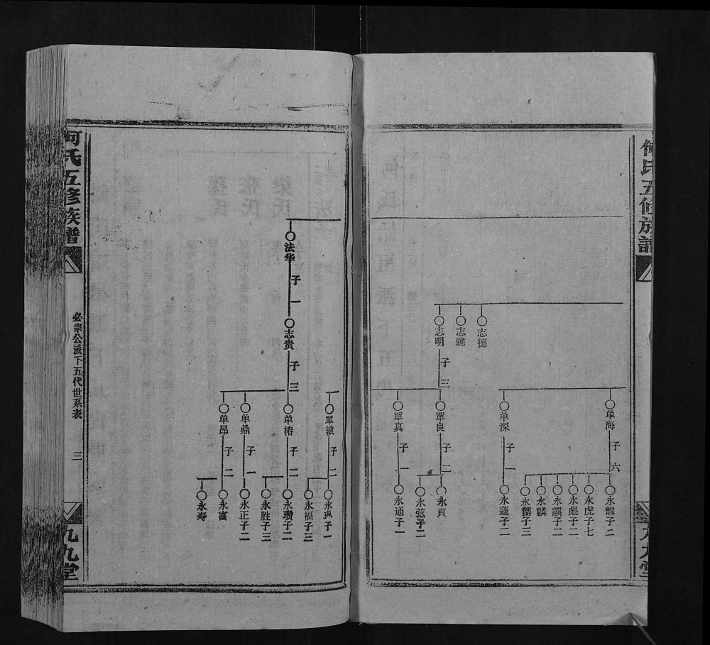 图片[7]-湖南邵阳何氏五修族谱（九九堂）电子版PDF下载-中华家谱网