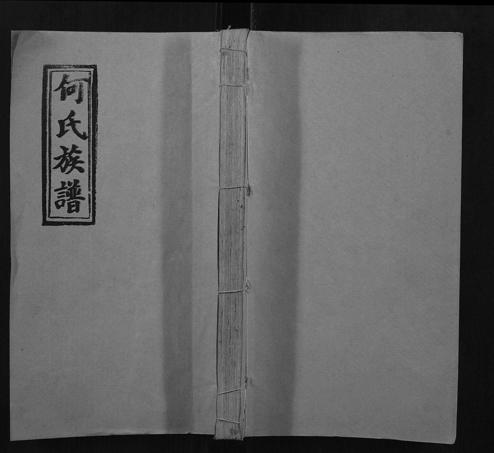图片[1]-湖南邵阳何氏五修族谱（九九堂）电子版PDF下载-中华家谱网