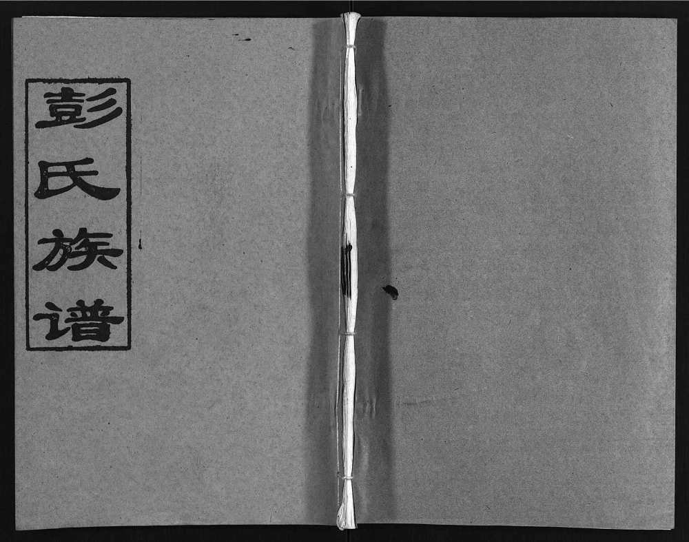 图片[1]-湖南浏阳文市河口彭氏族谱（陇西述古堂）电子版PDF下载-中华家谱网