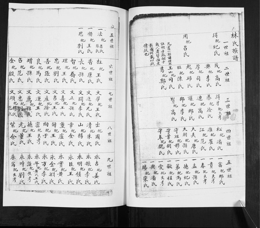 图片[3]-山东青岛即墨大信司家疃林氏族谱电子版PDF下载-中华家谱网