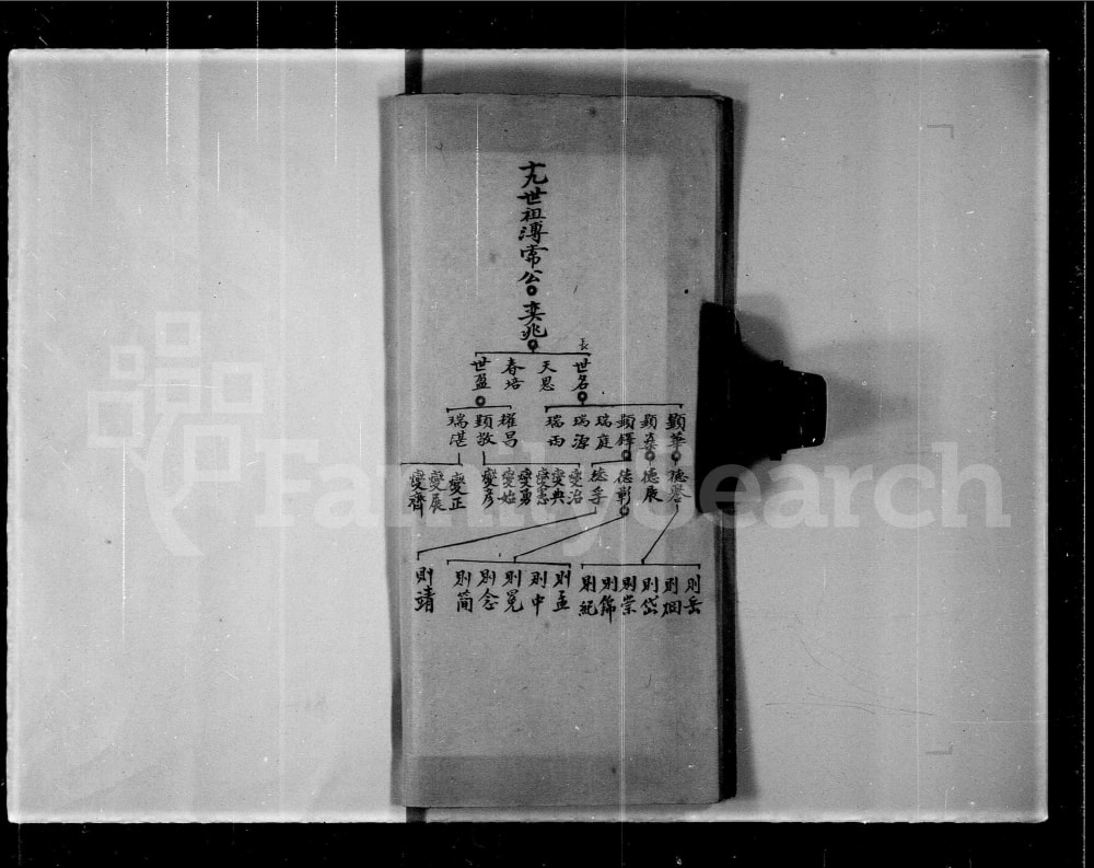 图片[4]-广东江门新会区林氏余香堂家谱电子版PDF下载-中华家谱网