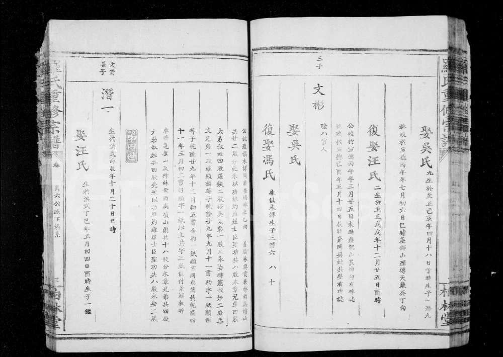 图片[7]-湖北大冶罗氏重修族谱（柏林堂）电子版PDF下载-中华家谱网