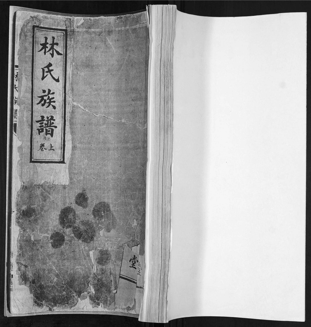 图片[1]-山东青岛林氏族谱（睦族堂）电子版PDF下载-中华家谱网