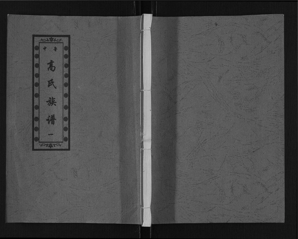 图片[1]-山东济宁汶上县鲁中高氏族谱电子版PDF下载-中华家谱网