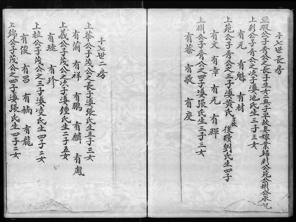图片[5]-香港大埔坑吓蒲村林氏族谱电子版PDF下载-中华家谱网