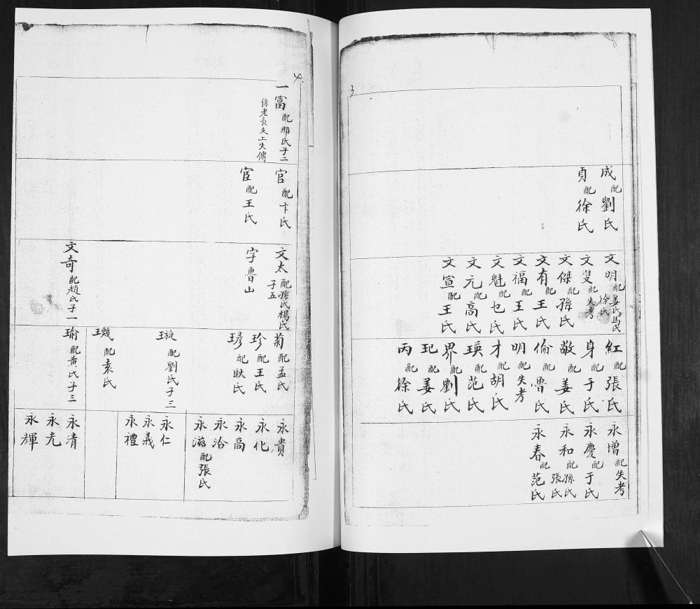 图片[4]-山东青岛即墨大信司家疃林氏族谱电子版PDF下载-中华家谱网