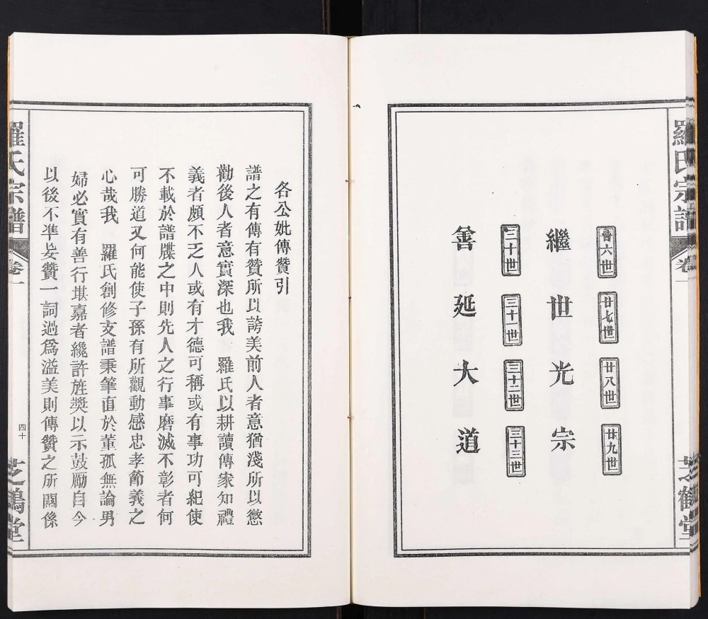图片[4]-安徽合肥罗氏宗谱（芝鹤堂）电子版PDF下载-中华家谱网