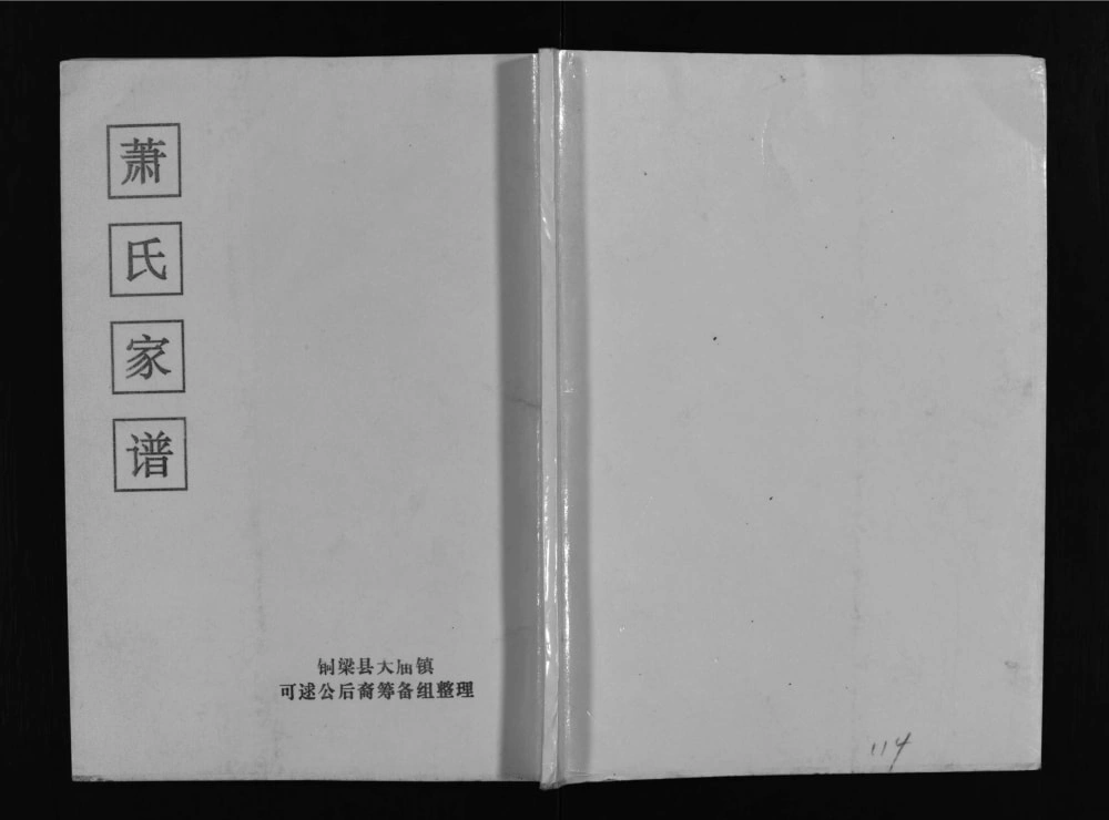图片[1]-四川铜梁萧(肖)氏家谱电子版PDF下载-中华家谱网