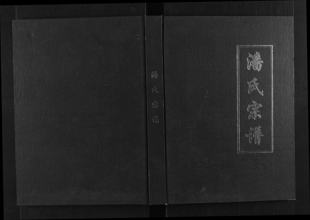图片[1]-浙江金华武义县潘氏宗谱电子版PDF下载-中华家谱网