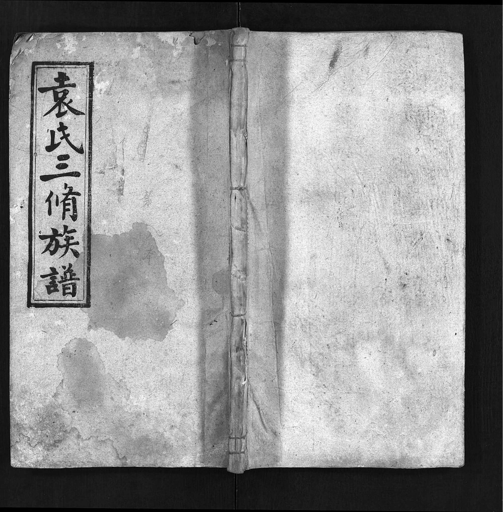 图片[1]-湖南邵东洪桥袁氏三修族谱（卧雪堂）电子版PDF下载-中华家谱网