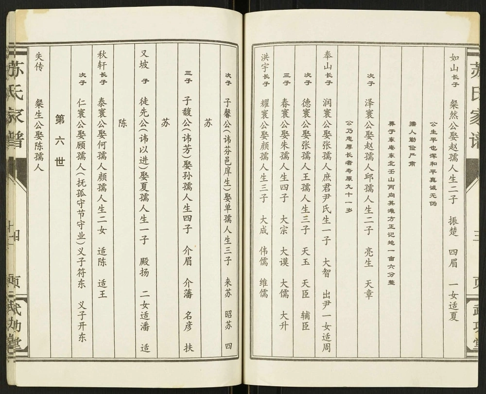图片[6]-江苏盐城建湖县苏氏家谱（武功堂）电子版PDF下载-中华家谱网