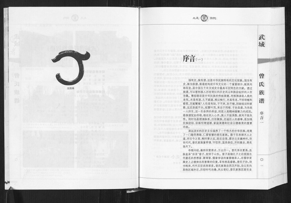 图片[2]-重庆大足区武城曾氏族谱电子版PDF下载-中华家谱网