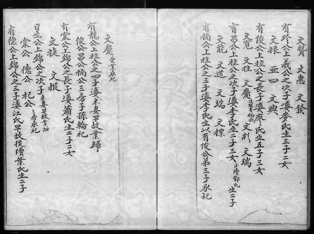 图片[8]-香港大埔坑吓蒲村林氏族谱电子版PDF下载-中华家谱网