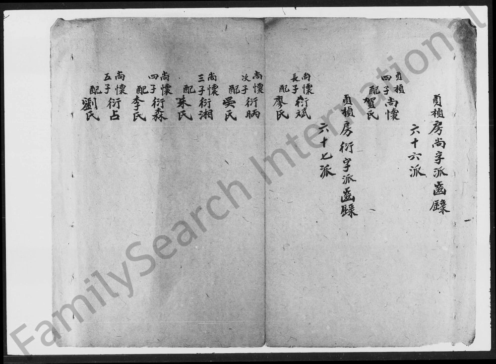 图片[5]-湖南湘乡大界曾氏四房五房草谱电子版PDF下载-中华家谱网