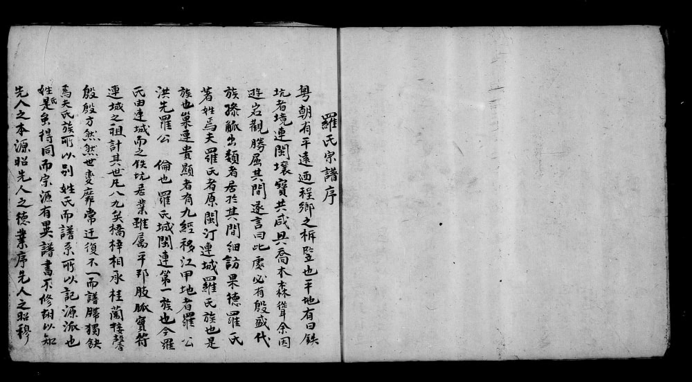 图片[1]-台湾省罗氏族谱电子版PDF下载-中华家谱网
