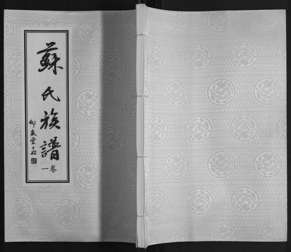 图片[1]-江苏连云港赣榆区苏氏族谱（仰泉堂）电子版PDF下载-中华家谱网
