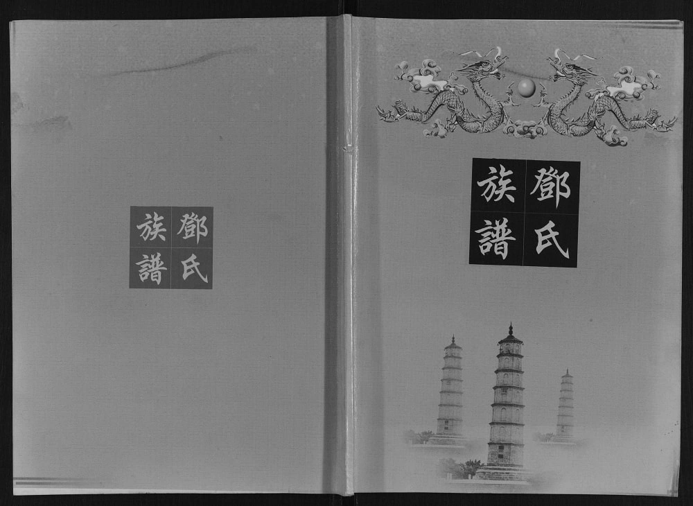 图片[1]-四川眉山仁寿县邓氏族谱电子版PDF下载-中华家谱网