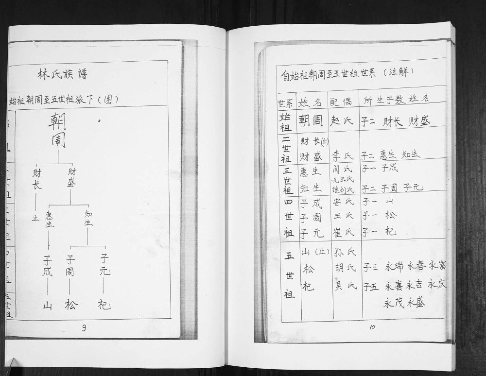 图片[5]-山东青岛即墨普东孙唐庄林氏族谱电子版PDF下载-中华家谱网