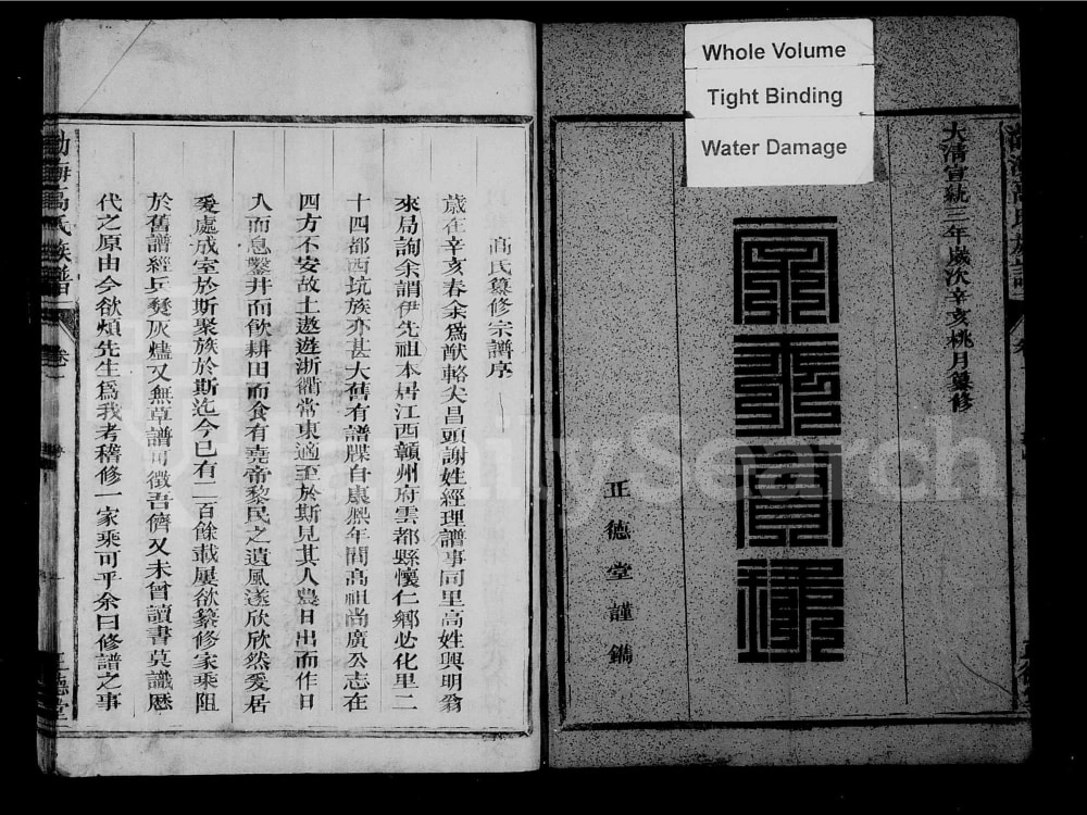 图片[2]-浙江衢州常山县渤海高氏族谱（正德堂）电子版PDF下载-中华家谱网
