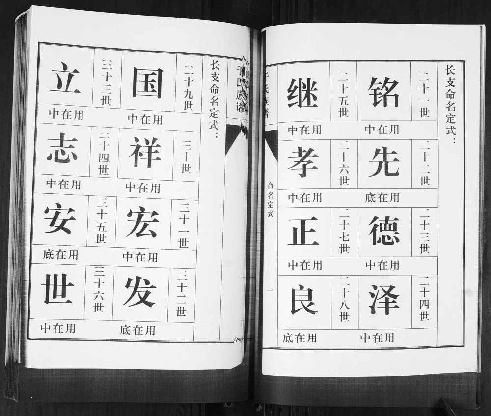 图片[5]-山东青岛即墨八里庄于氏族谱电子版PDF下载-中华家谱网