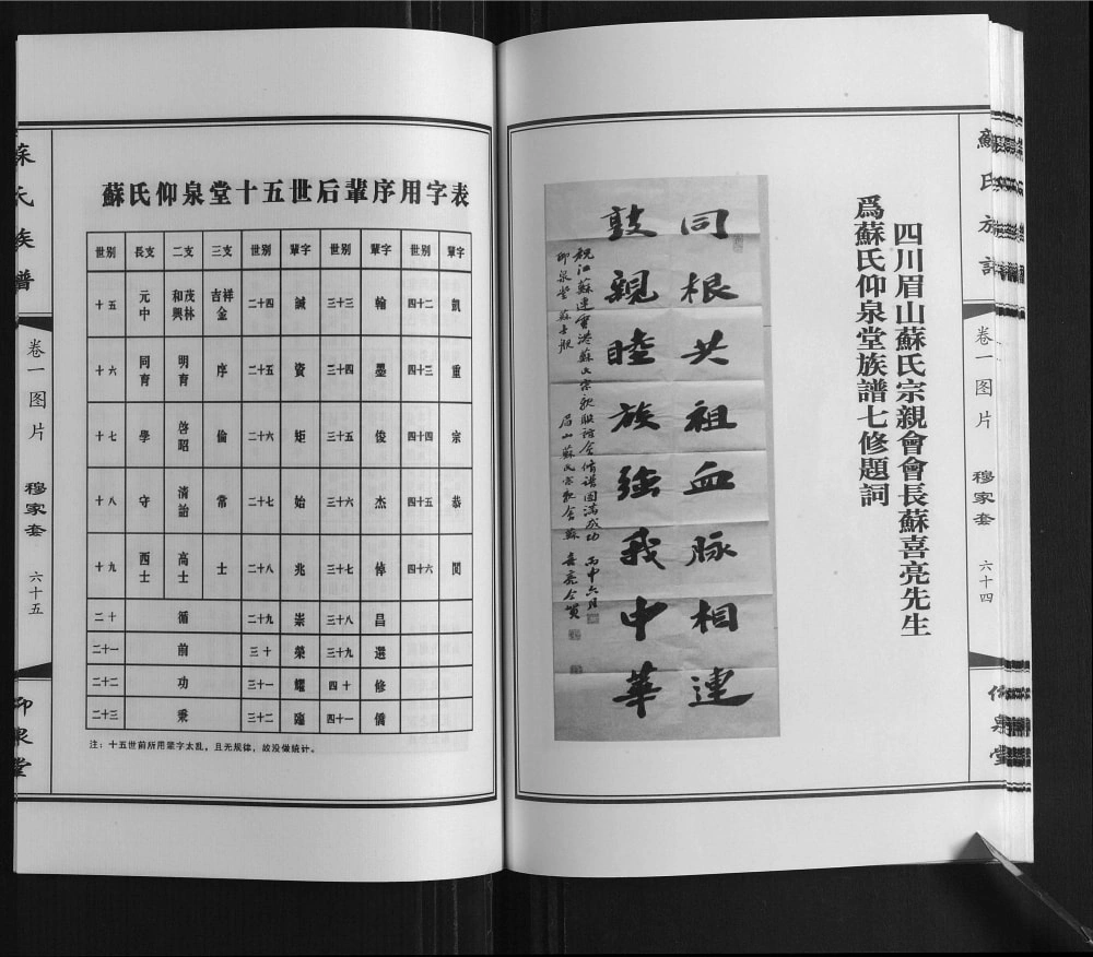 图片[3]-江苏连云港赣榆区苏氏族谱（仰泉堂）电子版PDF下载-中华家谱网