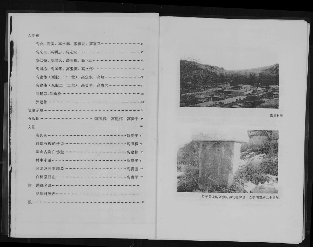 图片[3]-山西忻州定襄县南涧高氏家谱（白佛堂）电子版PDF下载-中华家谱网
