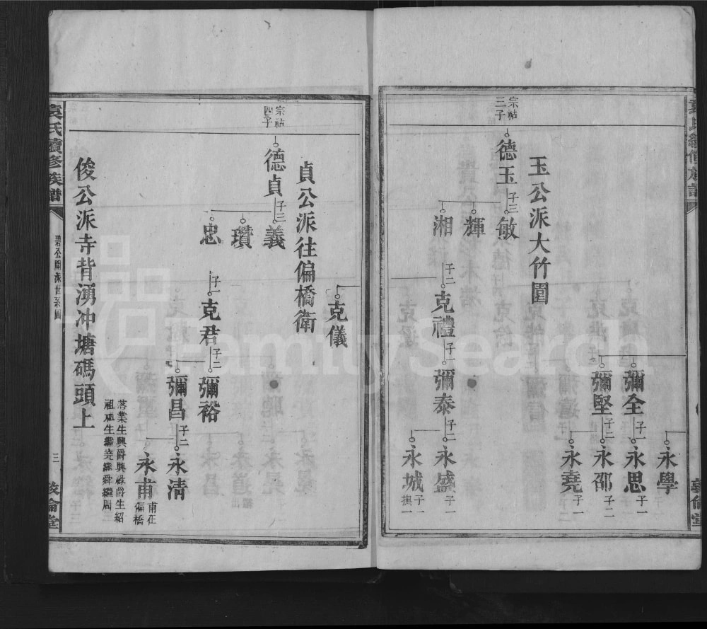 图片[7]-湖南资兴袁氏续修族谱（敦伦堂）电子版PDF下载-中华家谱网