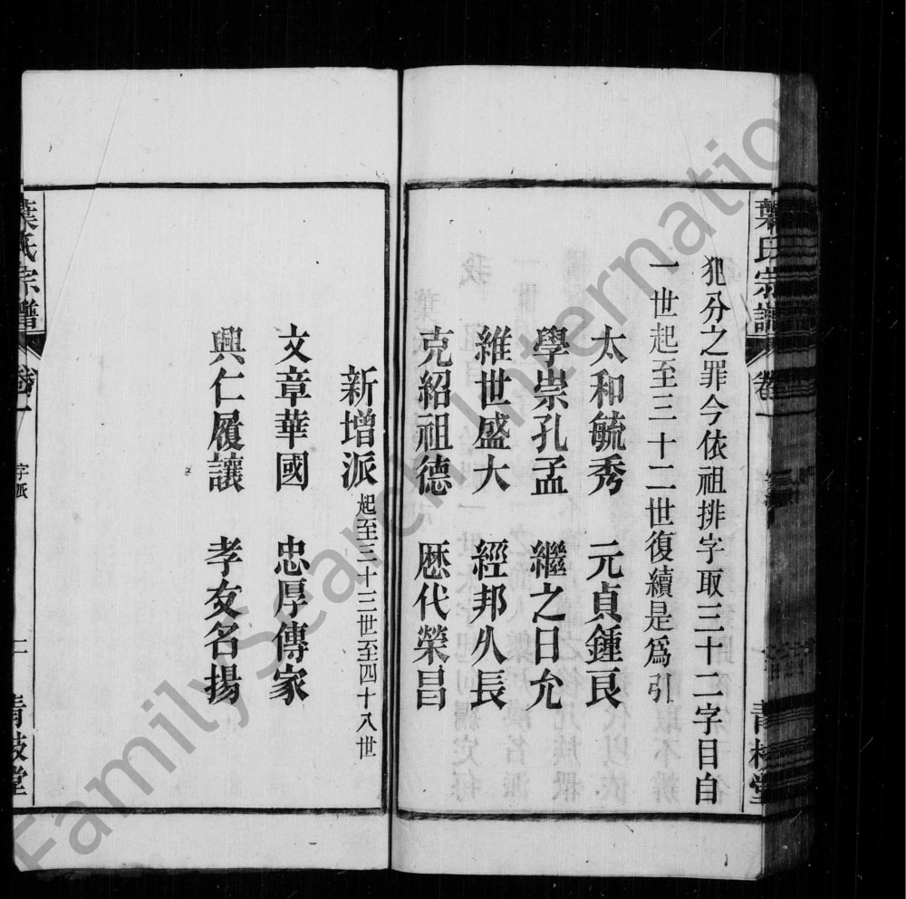 图片[5]-安徽桐城桐邑叶氏宗谱（青枝堂）电子版PDF下载-中华家谱网