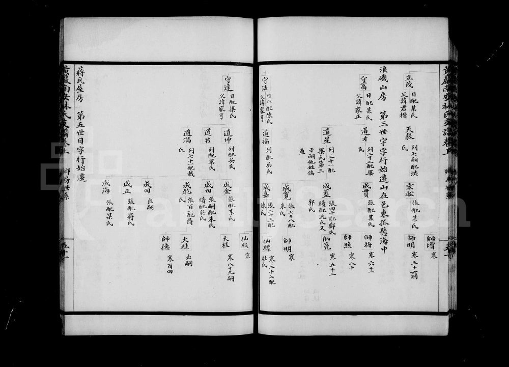 图片[8]-浙江台州黄岩南安林氏支谱电子版PDF下载-中华家谱网