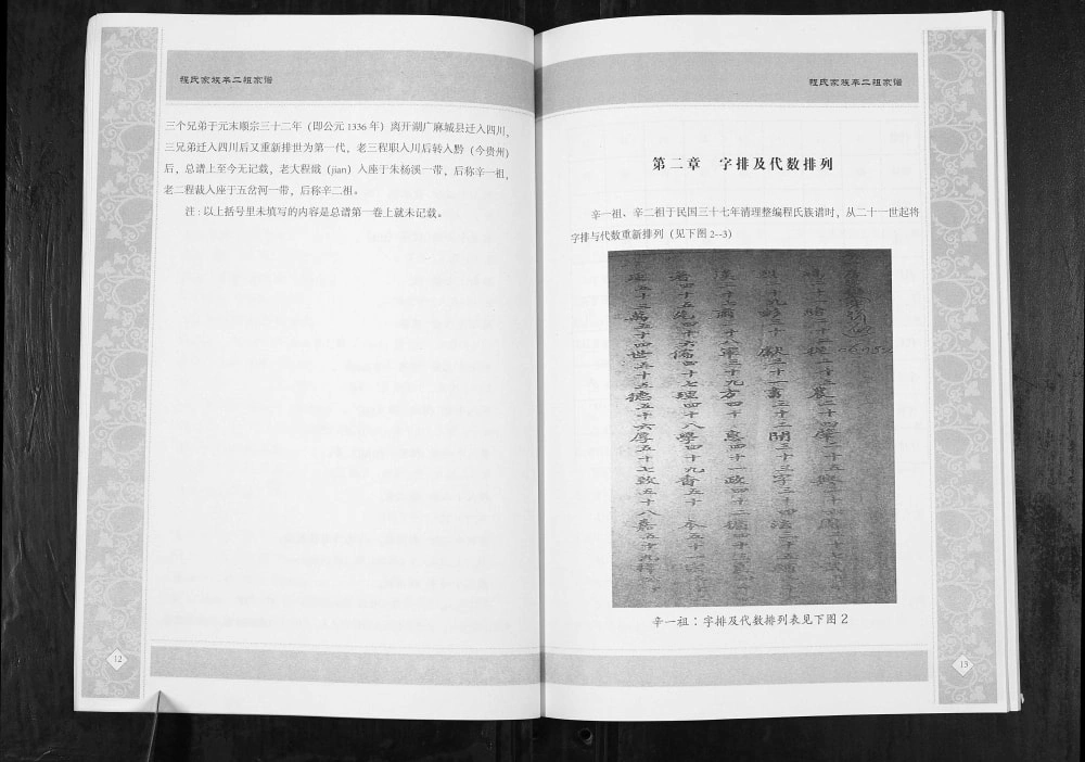 图片[4]-重庆江津区程氏家族辛二祖家谱电子版PDF下载-中华家谱网