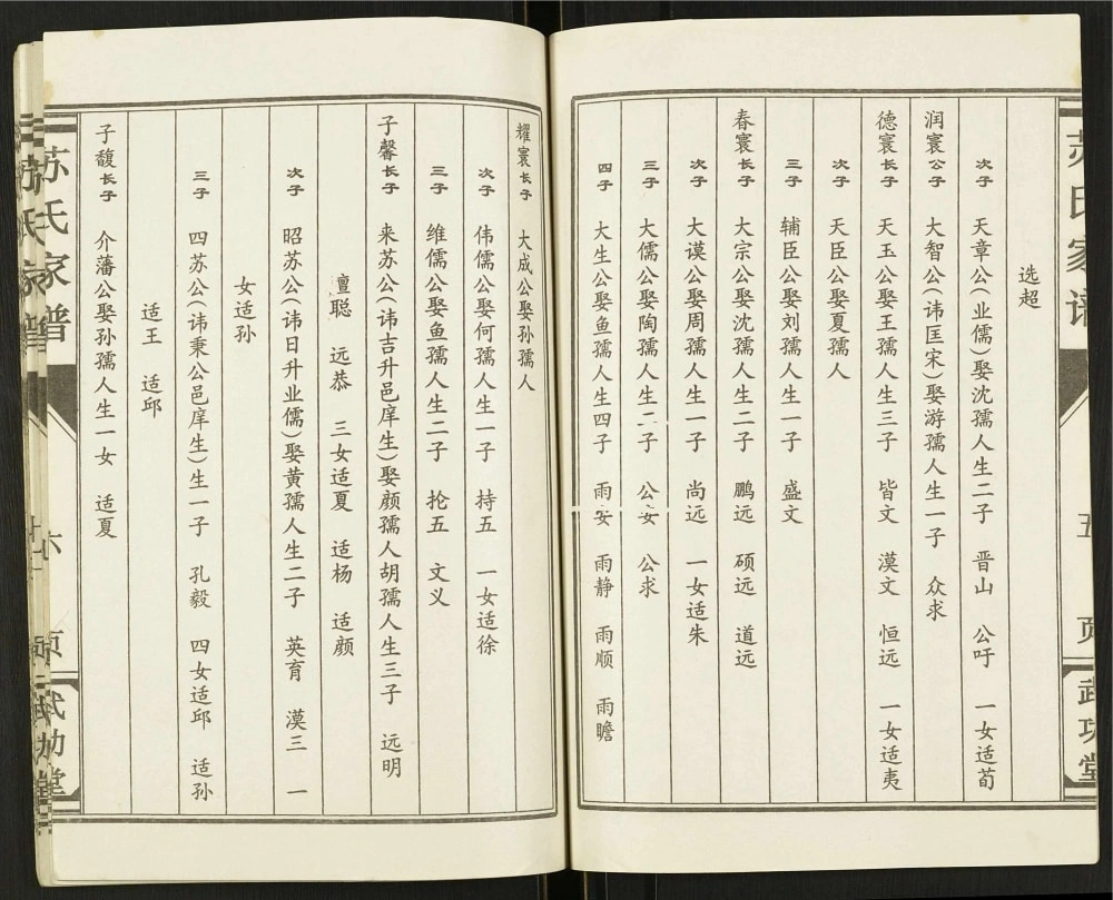 图片[8]-江苏盐城建湖县苏氏家谱（武功堂）电子版PDF下载-中华家谱网