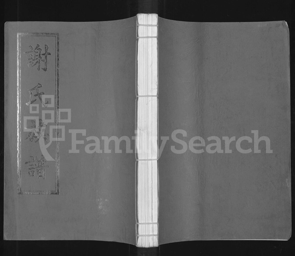 图片[1]-广东雷州谢氏族谱（宝树堂）电子版PDF下载-中华家谱网