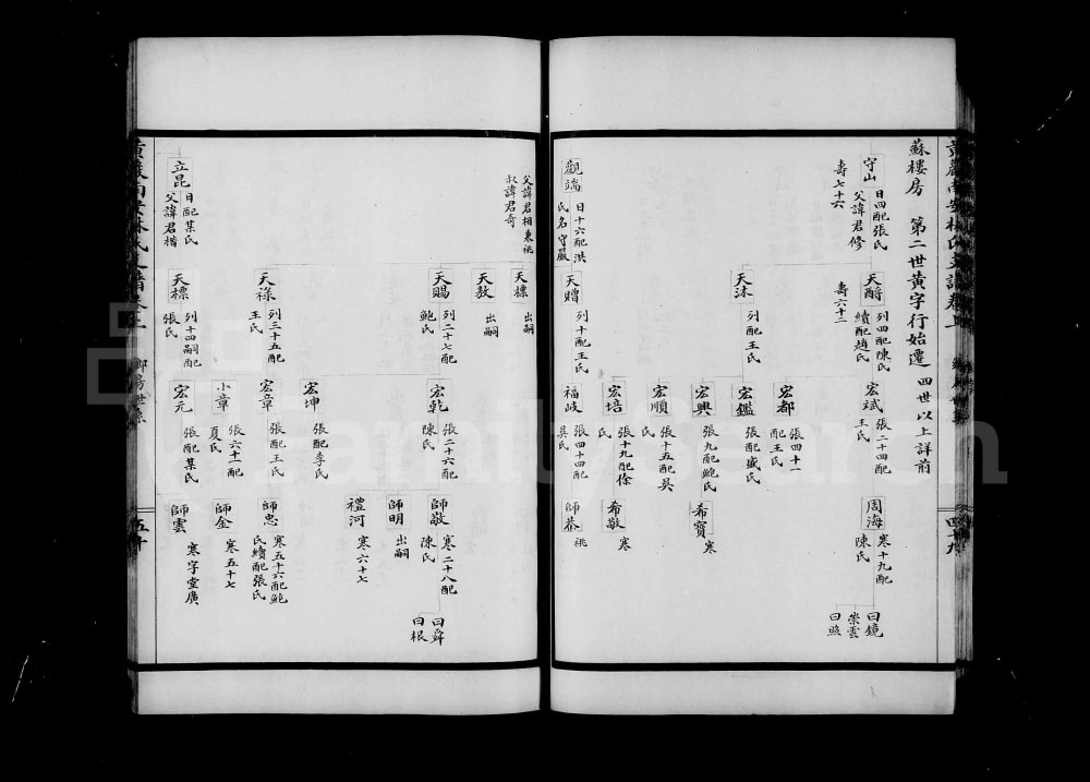图片[7]-浙江台州黄岩南安林氏支谱电子版PDF下载-中华家谱网