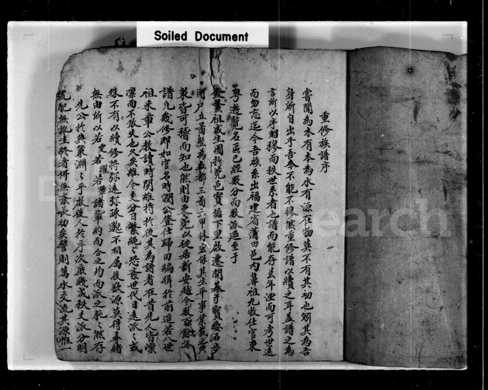 图片[2]-香港新界屏山石埔村林氏族谱电子版PDF下载-中华家谱网