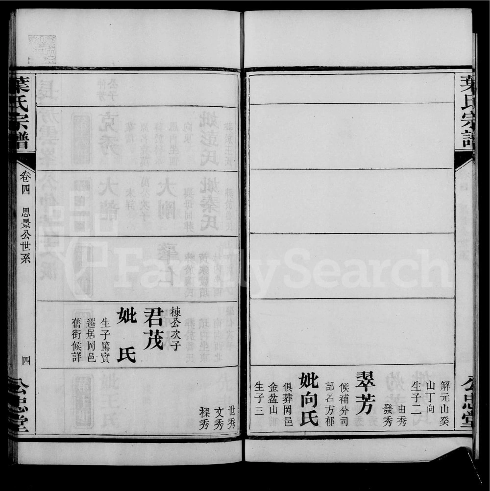 图片[8]-湖北鄂州黄冈叶氏宗谱（公忠堂）电子版PDF下载-中华家谱网