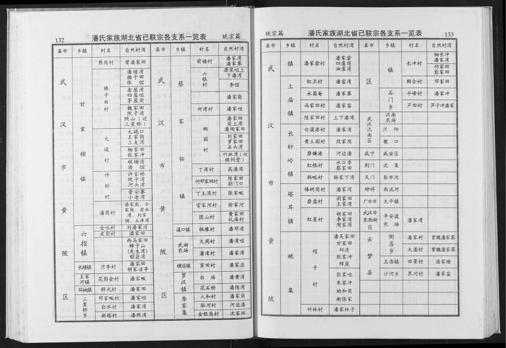 图片[5]-湖北省潘氏家谱（荥阳堂）电子版PDF下载-中华家谱网