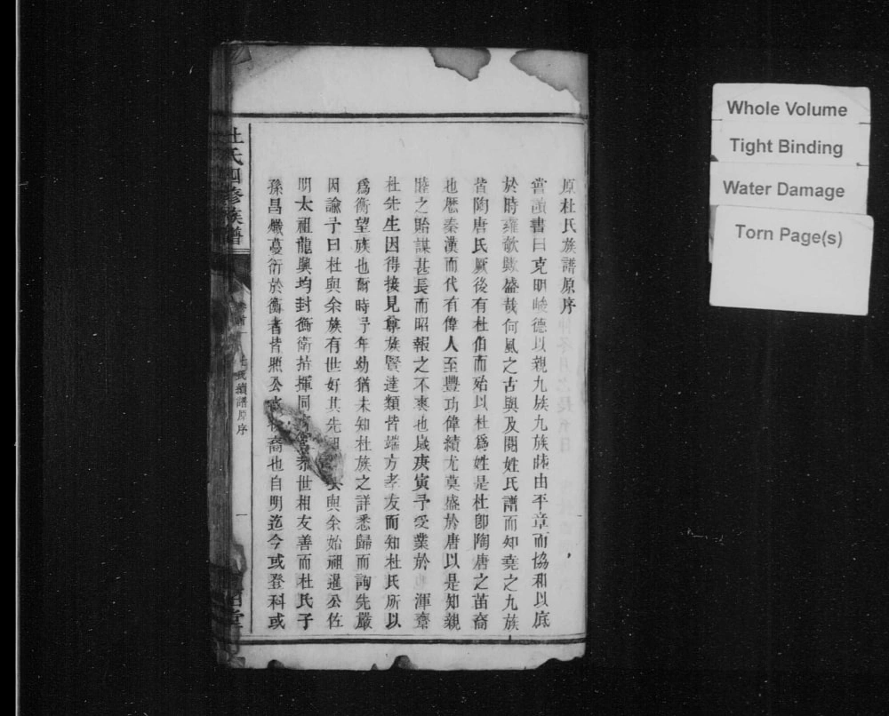 图片[2]-湖南衡阳邵阳杜氏四修族谱（宝田堂）电子版PDF下载-中华家谱网