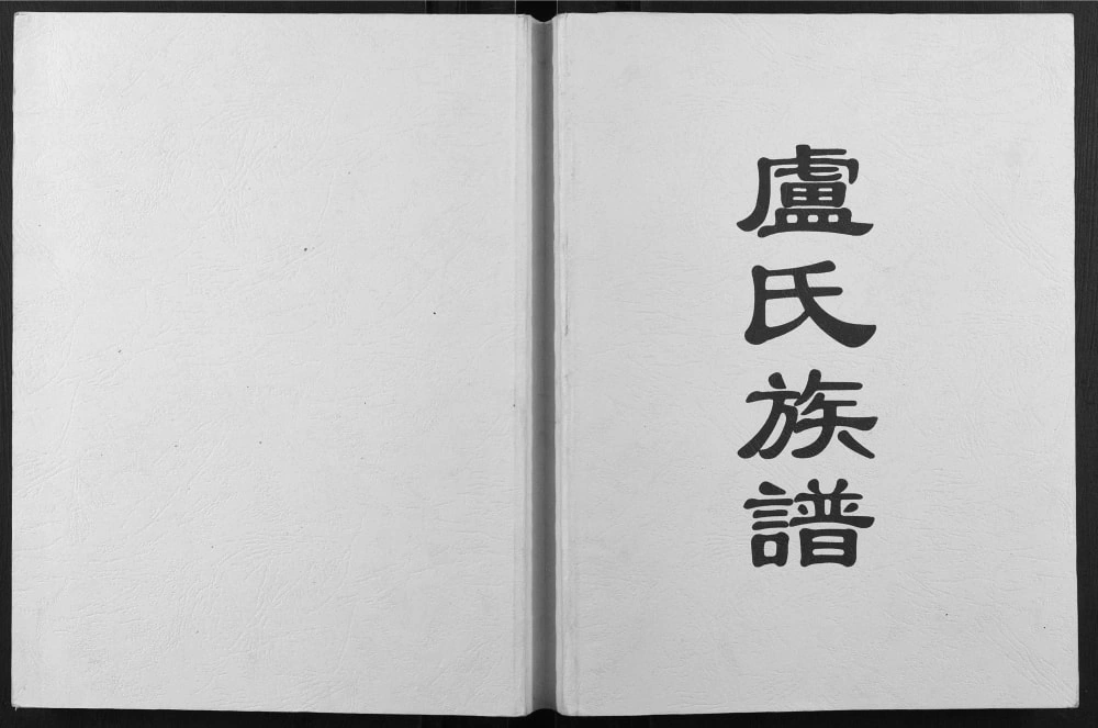 图片[1]-广西卢氏族谱电子版PDF下载-中华家谱网