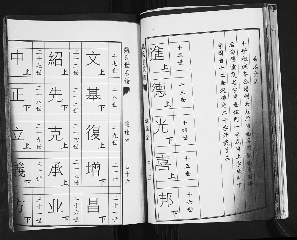 图片[4]-山东青岛城阳区魏家庄魏氏世系谱（追远堂）电子版PDF下载-中华家谱网