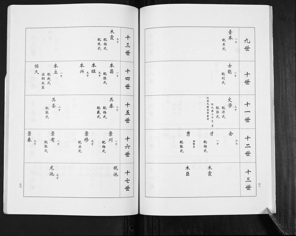 图片[6]-山东滨州无棣县卢氏家谱常家庄支谱电子版PDF下载-中华家谱网