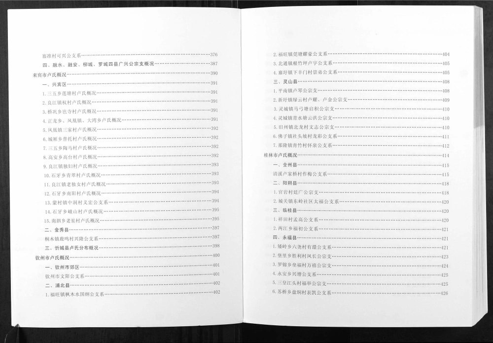 图片[6]-广西卢氏族谱电子版PDF下载-中华家谱网